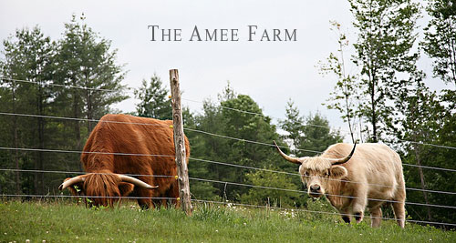 Amee Farm